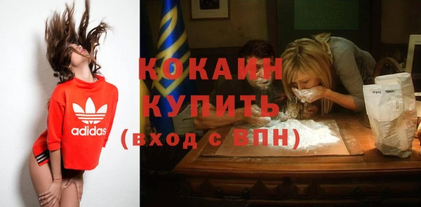 ГАЛЛЮЦИНОГЕННЫЕ ГРИБЫ Ладушкин
