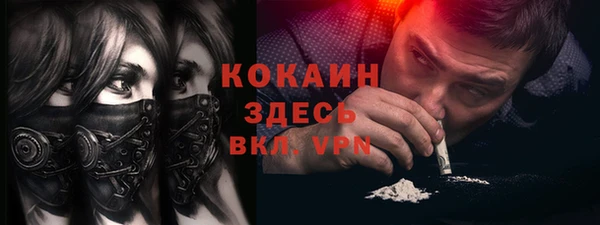 ГАЛЛЮЦИНОГЕННЫЕ ГРИБЫ Ладушкин