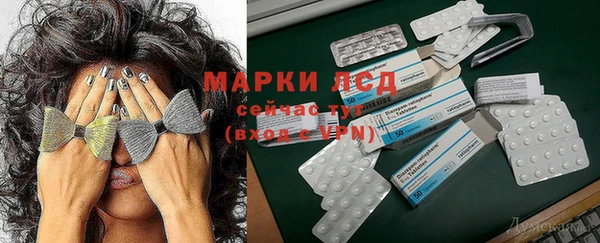 ГАЛЛЮЦИНОГЕННЫЕ ГРИБЫ Ладушкин