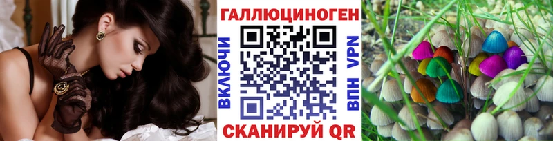 Псилоцибиновые грибы Magic Shrooms Купить Коряжма